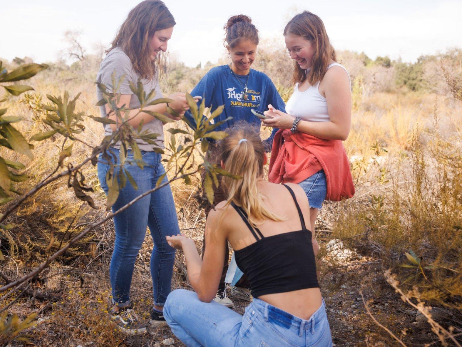 Four students gather among the plants at Bernard Field Station